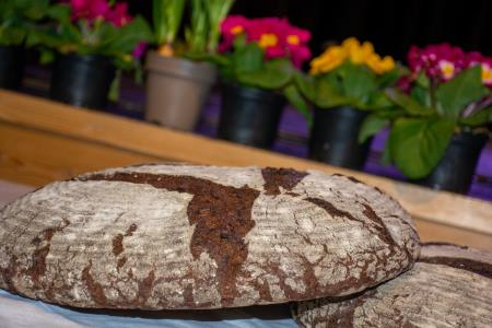 ‘‘Korenine preteklosti, sadovi prihodnosti” (37)